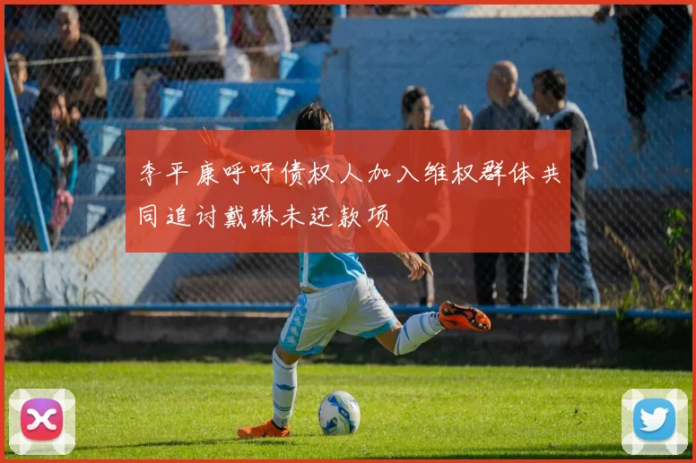 李平康呼吁债权人加入维权群体共同追讨戴琳未还款项