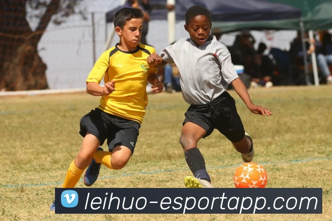雷火电竞平台生态图