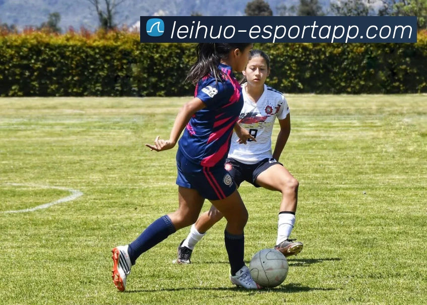 雷火电竞全站App