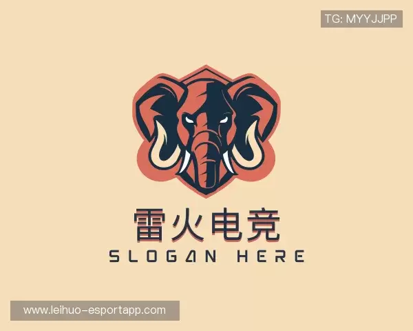 了解雷火电竞中国官网